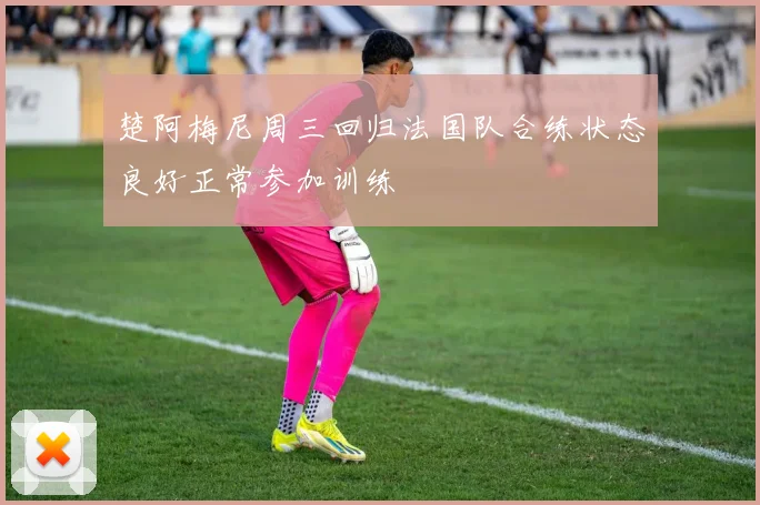 楚阿梅尼周三回归法国队合练状态良好正常参加训练