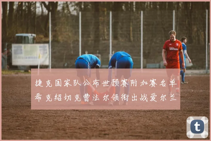 捷克国家队公布世预赛附加赛名单希克绍切克曹法尔领衔出战爱尔兰